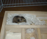 地下室に篭っているユウキです