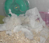 気持ちよさそうな顔で眠っているアイ