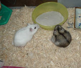 一見仲よさそうですが