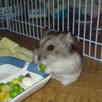 グリーンピースを食べるユウキ