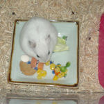 ミックスベジタブルを食べるアイ