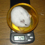 アイも体重が増えました