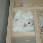 地下室にいるアイ