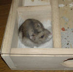 地下室からこちらを見ています