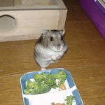 いつもの立ちポーズ