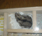 地下室に篭っているユウキです