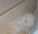 こんなところで眠っています