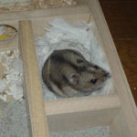 地下室に篭っているユウキ