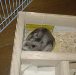 地下室に篭っているユウキ