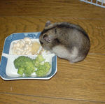 どうも、蕎麦の実へ行ってしまいます