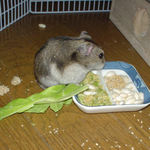 何を食べようか迷い中