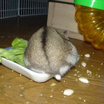 お尻からのアングルでどうぞ