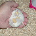 少しひねりながらもまだ食べ中