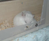 こんなところで眠ってました