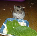 片頬が変形しています。