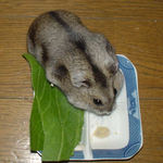 体がぼこぼこになってるユウキ