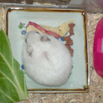 乾燥りんごチップを食べるアイ