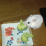 ブロッコリーを食べるアイ