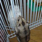 久しぶりに対面、ユウキとアイ