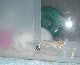 なにやら潜り込んでいます。