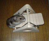 シーソーにチャレンジ