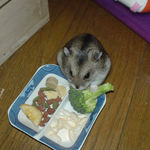 ブロッコリーをどけているユウキです