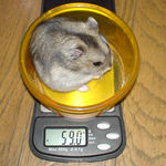 肥えてました～