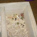 床材をどけるとエサが置いてあります