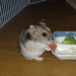 乾燥パパイヤを食べるユウキ