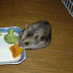 かぼちゃを食べるユウキ