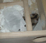 完全防備型の寝床です