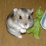 これだけ？って、いつもの表情でカメラ目線のユウキ