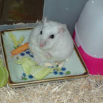 ふと、見上げるアイ