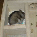 戻ってきてさっそく貯蓄庫の点検