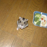 最近のお決まりポーズ