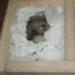 眠っていました