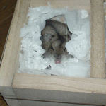 一回は目を覚ましたんですが・・・