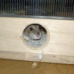 ようやく起きだしてきました