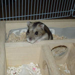 地下室から顔を出すユウキ