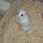 そして、キョロキョロ