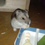 乾燥パイナップルを食べています