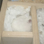 いつもの部屋に篭っていました