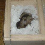 今日もお休み中でした