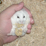 完全に、すっぽりとはまっています