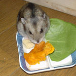 かぼちゃを食べるユウキ