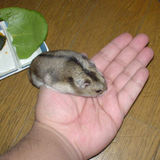 手のひらからひま種を受け取るユウキ