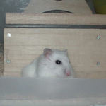 アイが姿を現しました