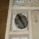 貯蓄庫を点検中