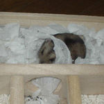 珍しく一番奥の部屋を寝室にしていました