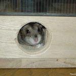 入り口からなかなか出てこれません